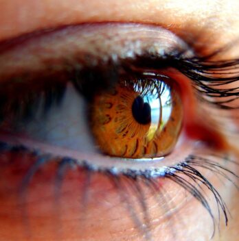 Ranking of Best DIY Lash Lift Kits for Home Use