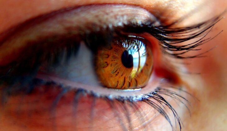 Ranking of Best DIY Lash Lift Kits for Home Use